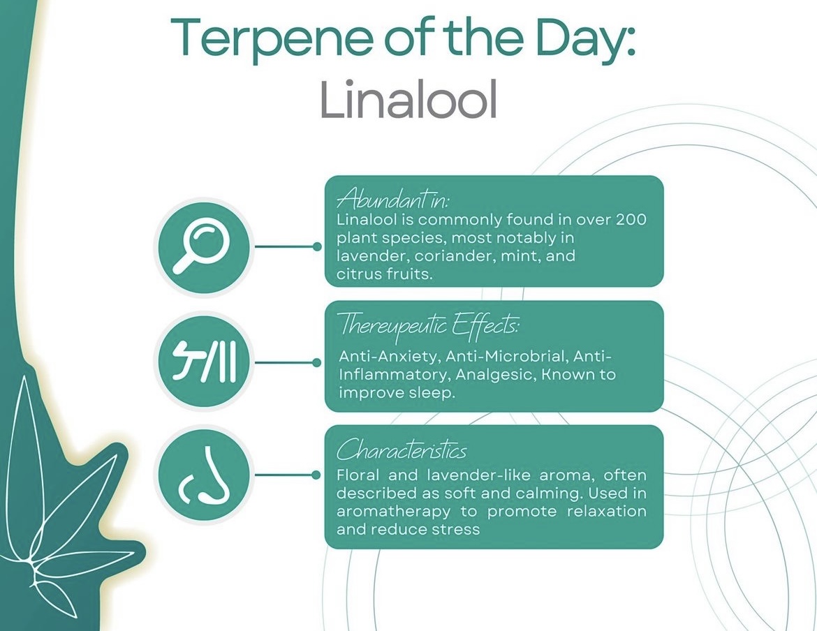 Your Image Description